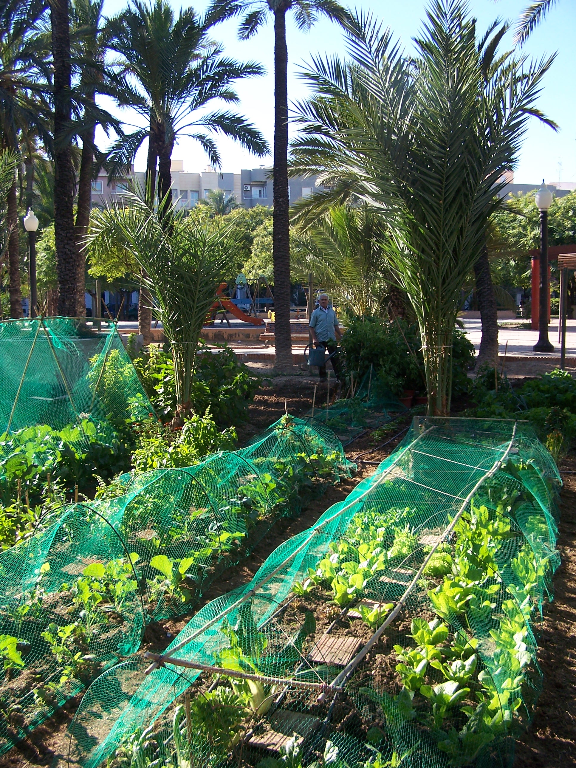 Huertos ecológicos urbanos